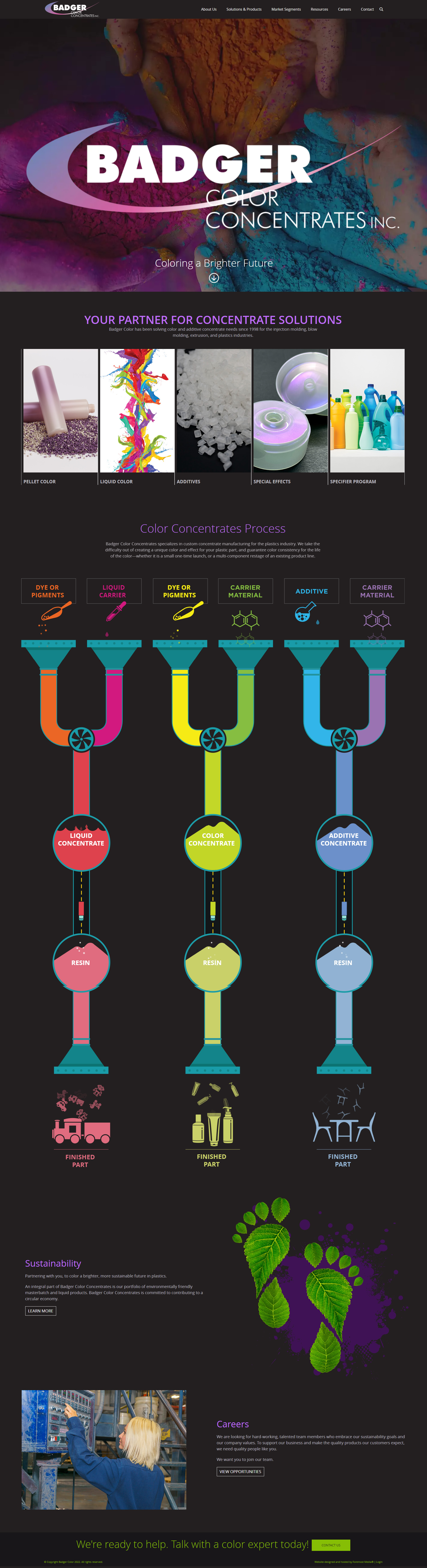Example of the new and improved DNN website designed by Foremost Media for Badger Color Concentrates, INC