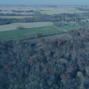 Tall Trees Development